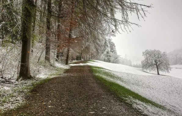 Картинка дорога, снег, пейзаж, природа