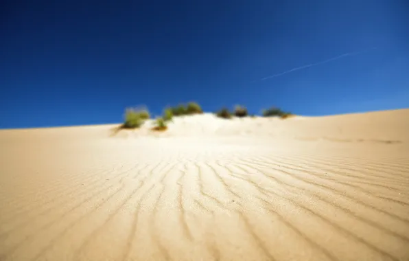 Песок, пляж, фото, пустыня, пейзажи, африка