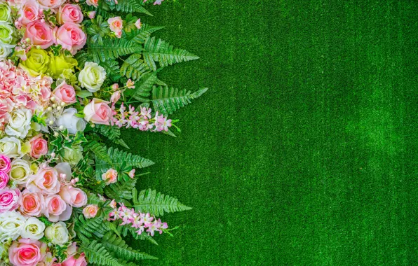 Цветы, розы, зелнь