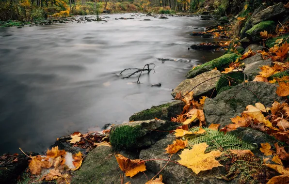 Картинка river, photography, trees, landscape, nature, water, Autumn, rocks