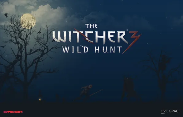 Картинка The Witcher 2, CD Projekt RED, The Witcher 3, LiVE SPACE studio, The Witcher 1, …