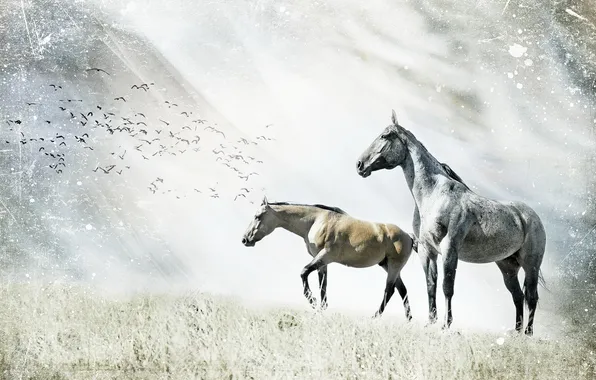 Картинка природа, стиль, кони