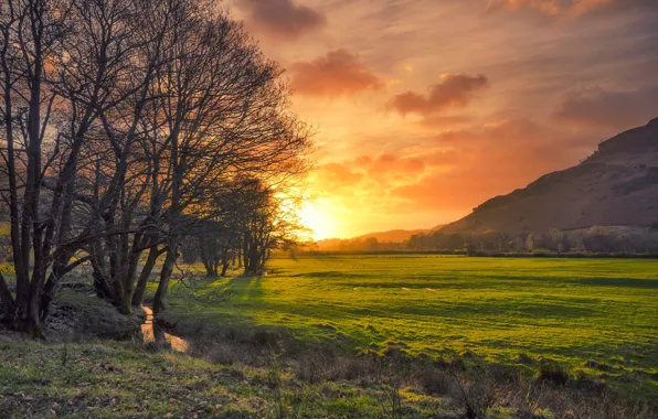 Картинка поле, деревья, закат, ручей, Англия, зарево, Камбрия