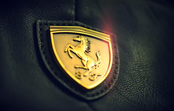 Картинка макро, золото, логотип, кожа, Феррари, Ferrari