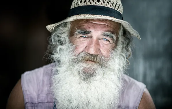 Bear, hat, old man, bearded, direct gaze