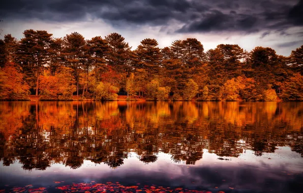 Деревья, пейзаж, река