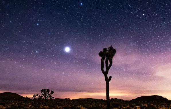 Sky, desert, stars