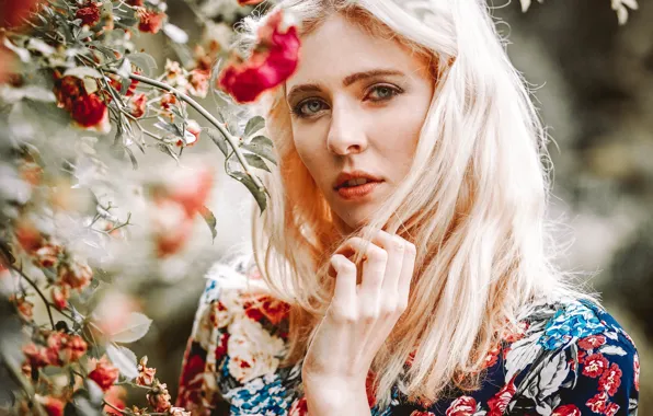 Картинка взгляд, девушка, лицо, фон, модель, волосы, руки