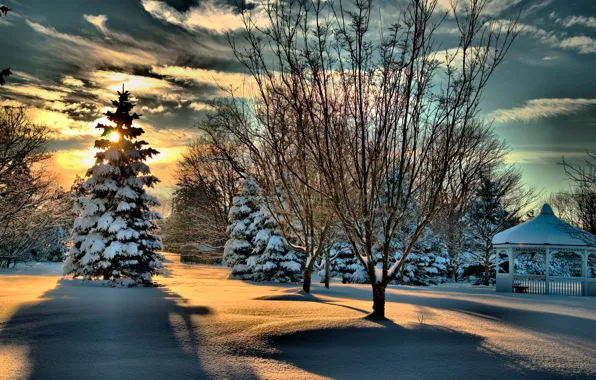 Картинка зима, лес, небо, солнце, облака, снег, деревья, парк