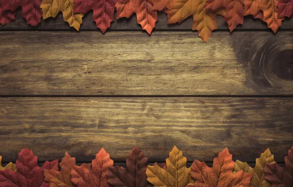 Картинка осень, листья, фон, дерево, wood, background, autumn, leaves