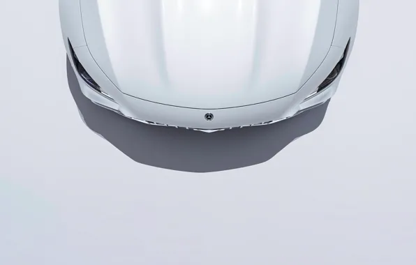 Авто, Белый, Машина, Капот, Mercedes, Вид сверху, Transport & Vehicles, AMG GT 63 S