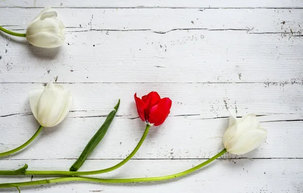 Цветы, тюльпаны, red, white, белые, wood, flowers, tulips