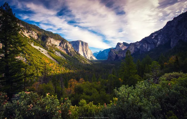 Лес, небо, облака, деревья, горы, скалы, USA, Yosemite