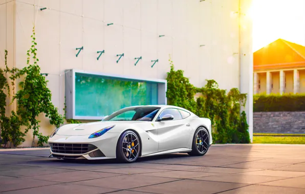 Картинка Ferrari, Car, Power, Front, Sun, White, Sport, Supercar