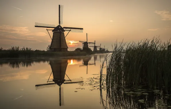 Картинка солнце, река, восход, камыш, мельницы, Голландия