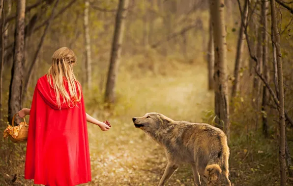 Картинка лес, волк, девочка, Red and wolf