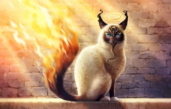 Картинка кот, стена, огонь