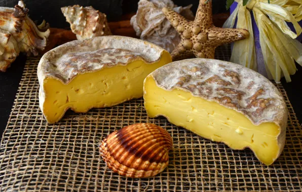 Сыр, ракушка, мешковина