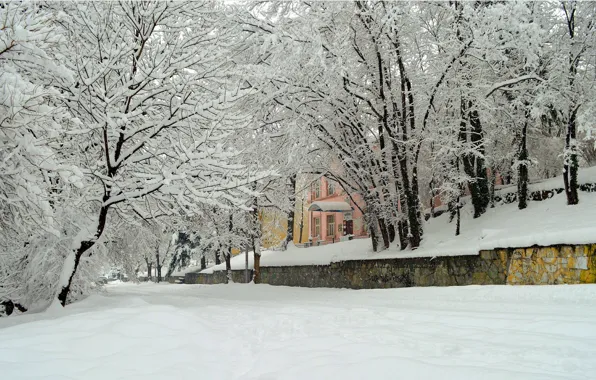 Картинка деревья, город, Зима, Снег, Winter, Frost, Snow, Trees