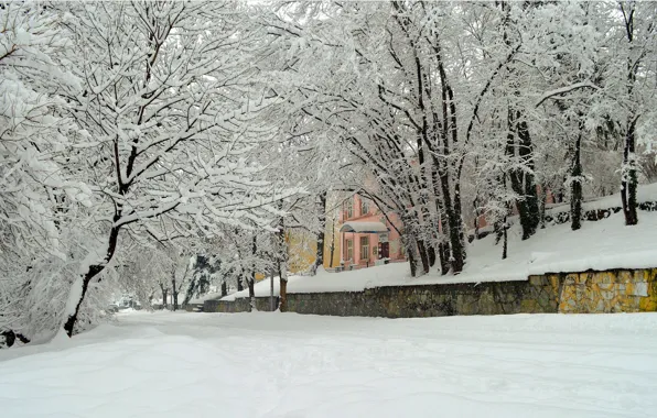 Деревья, город, Зима, Снег, Winter, Frost, Snow, Trees