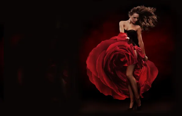 Картинка цветок, красный, черный, роза, Девушка, танец