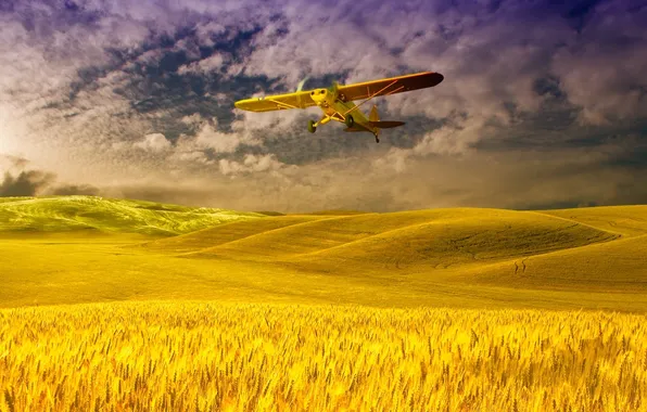 Картинка пшеница, поле, небо, облака, самолет
