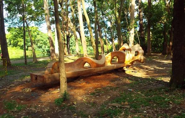 Brazil, Sao Paulo, Ibirapuera Park, Bench of Carved Tree Trunk