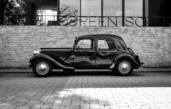 Black & White, Oldtimer, Jaimy Willemse
