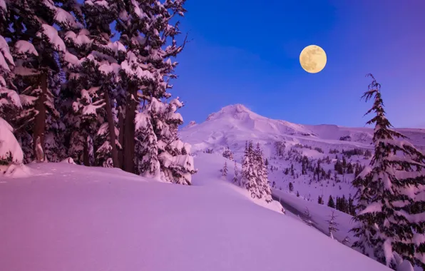 Картинка зима, снег, деревья, горы, ночь, природа, луна, месяц
