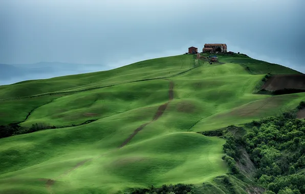 Картинка landscape, italy, tuscany