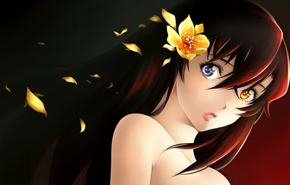 Картинка цветок, девушка, волосы, аниме