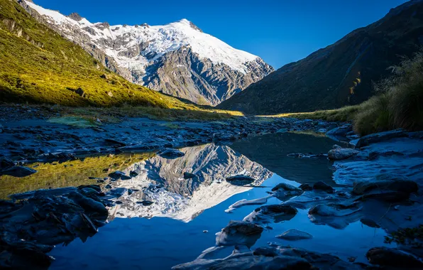 Картинка Горы, Озеро, Новая Зеландия, Пейзаж, Dart Glacier