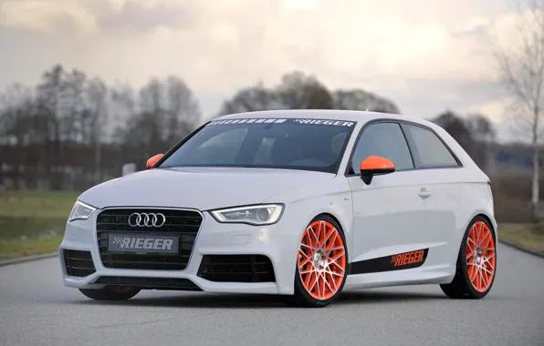 Audi, Tuning, Rieger