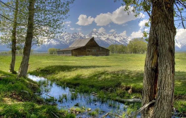 Картинка трава, деревья, природа, дом, парк, фото, США, Wyoming