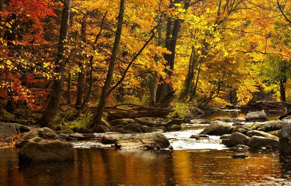 Картинка осень, вода, деревья, горы, природа, река, камни, леса