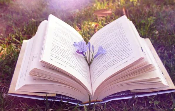 Книга, Листы, Разворот