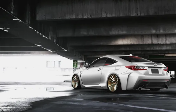 Lexus, white, rear, RC F