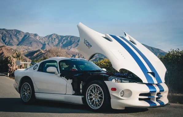 Машина, капот, белая, Dodge Viper GT2