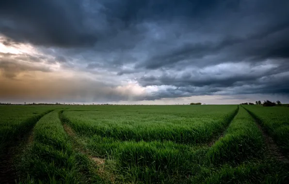 Картинка поле, небо, природа