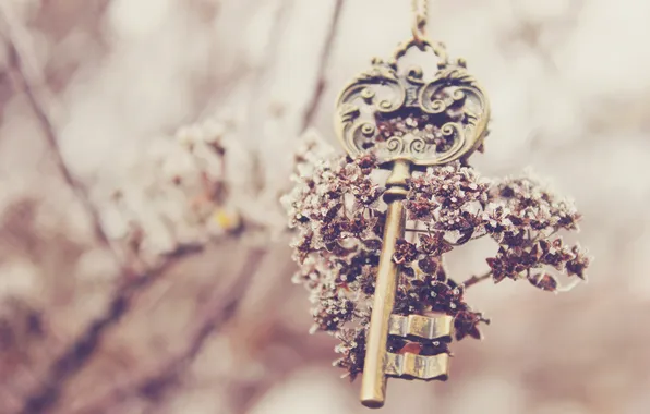 Картинка цветок, ключ, keys