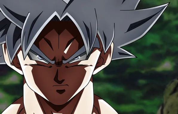 Взгляд, парень, Dragon Ball, Драконий жемчуг