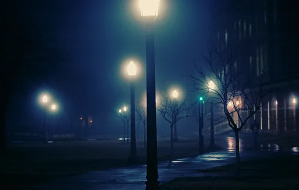 Ночь, город, огни, туман, night, foggy