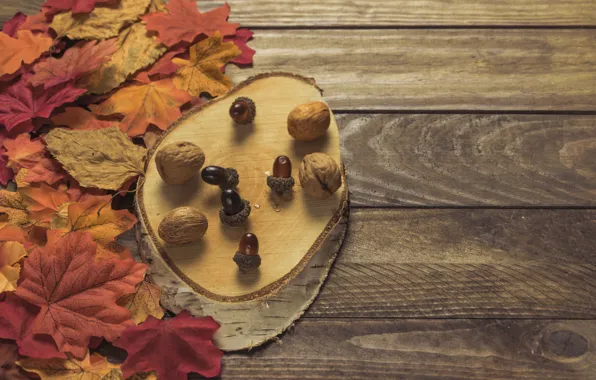Картинка осень, листья, фон, colorful, доска, wood, желуди, background