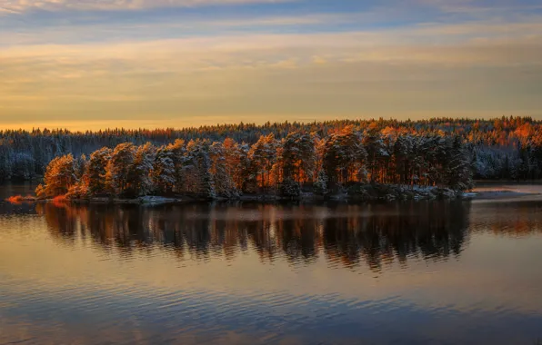 Осень, лес, снег, деревья, закат, озеро, вечер, панорама