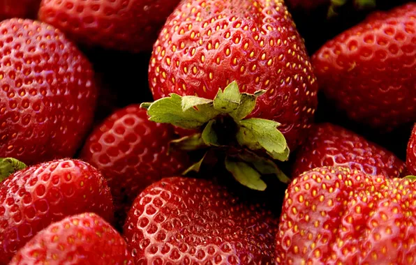 Red, fruit, strawberries