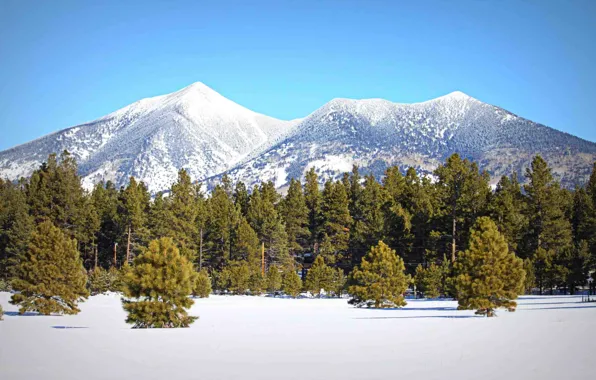 Зима, лес, небо, снег, деревья, горы, природа, вершина