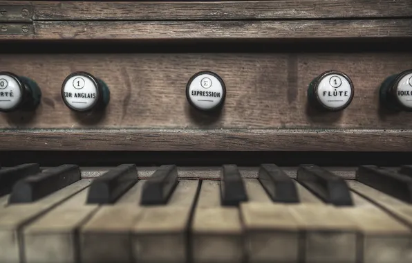 Клавиши, кнопки, заброшенные, синтезатор звука