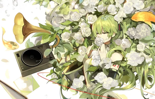 Девушка, цветы, аниме, арт, Vocaloid, грамофон