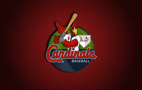 Baseball, cards, MLB, st louis, stan