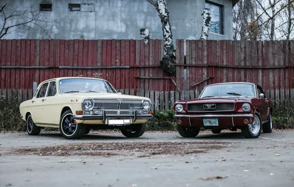 Машина, машины, тюнинг, забор, red, wheels, Ford Mustang, седан